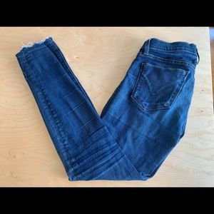 Hudson Skinny Ankle Jeans